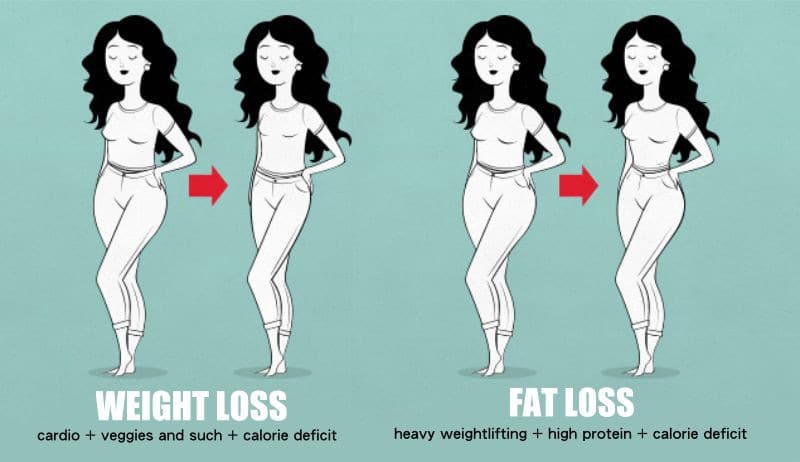 perder grasa